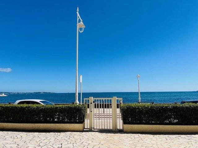 Palm - Brand New - Oasis Of Calm Apartament